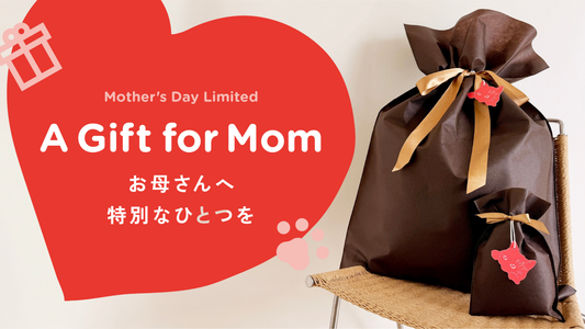 母の日キャンペーン、本日よりスタート！