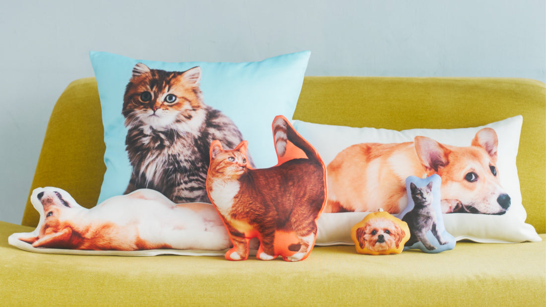 プレスリリース掲載のお知らせ