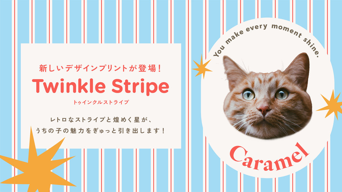 【NEW】新デザイン「Twinkle Stripe（トゥインクルストライプ）」が登場！