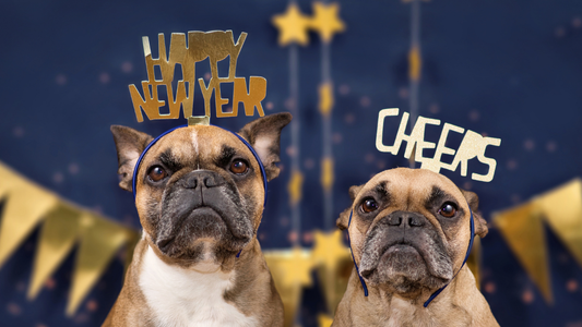 年末年始営業・年内発送についてのお知らせ