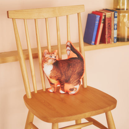 シルエットクッション（オーダーメイド）