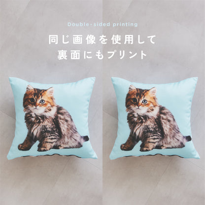 クッションカバー（ヌードクッション付）