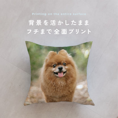 クッションカバー（ヌードクッション付）