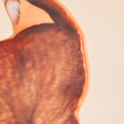 シルエットクッション（オーダーメイド）