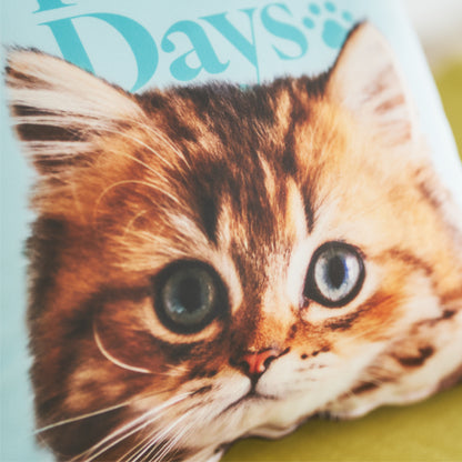 クッションカバー（ヌードクッション付）