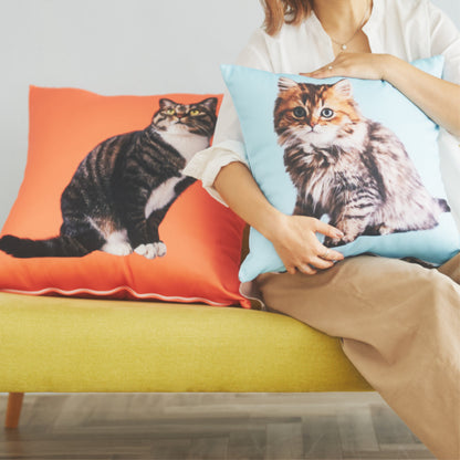 クッションカバー（ヌードクッション付）