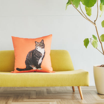 クッションカバー（ヌードクッション付）