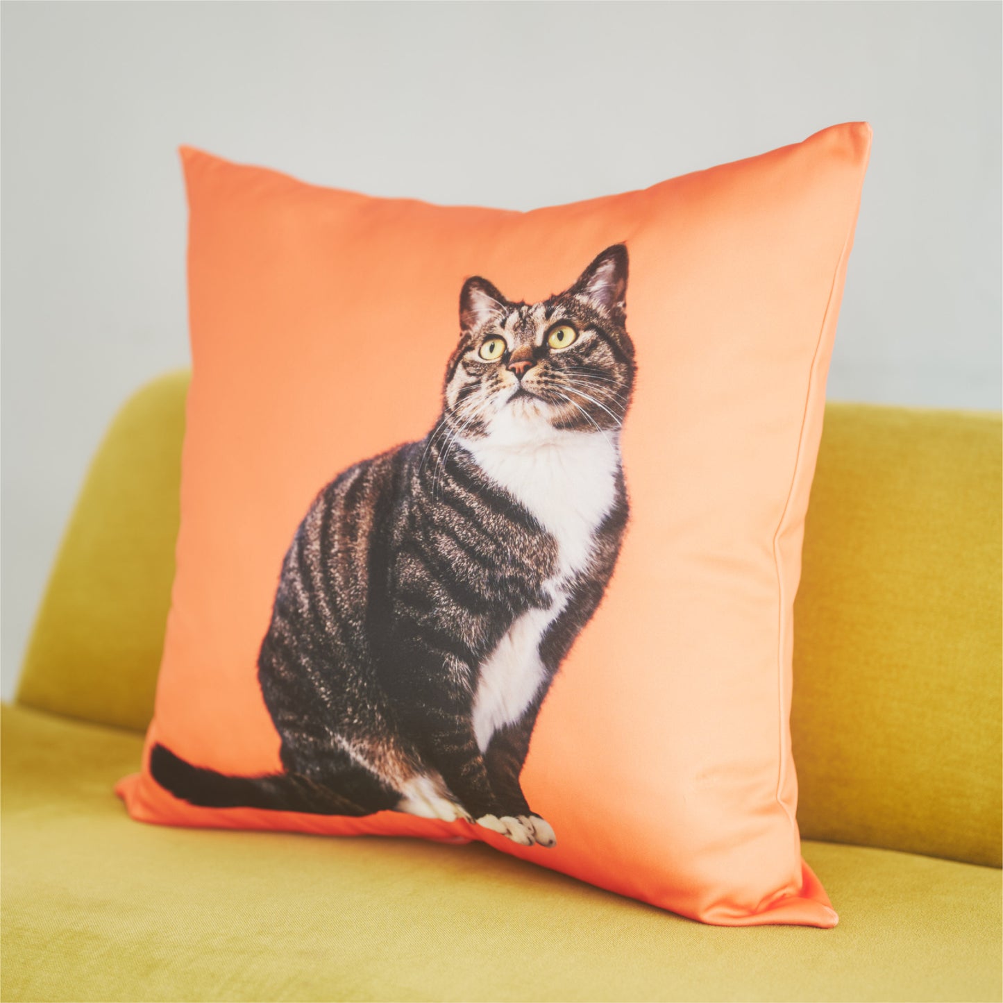 クッションカバー（ヌードクッション付）