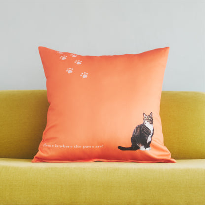 クッションカバー（ヌードクッション付）