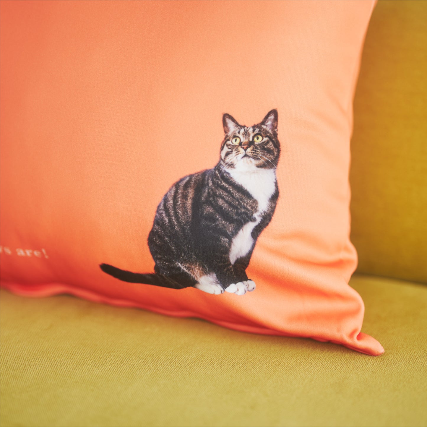 クッションカバー（ヌードクッション付）