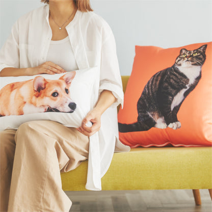 クッションカバー（ヌードクッション付）