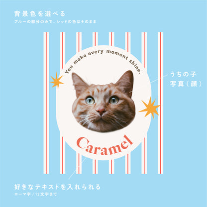 クッションチャーム（オーダーメイド）