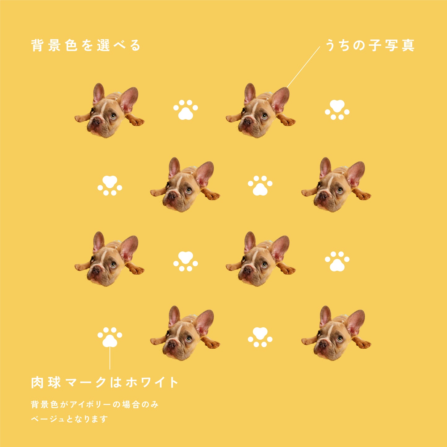ブランケット