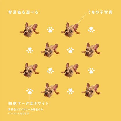 ブランケット