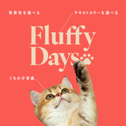 ブランケット