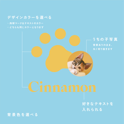 クッションカバー（ヌードクッション付）