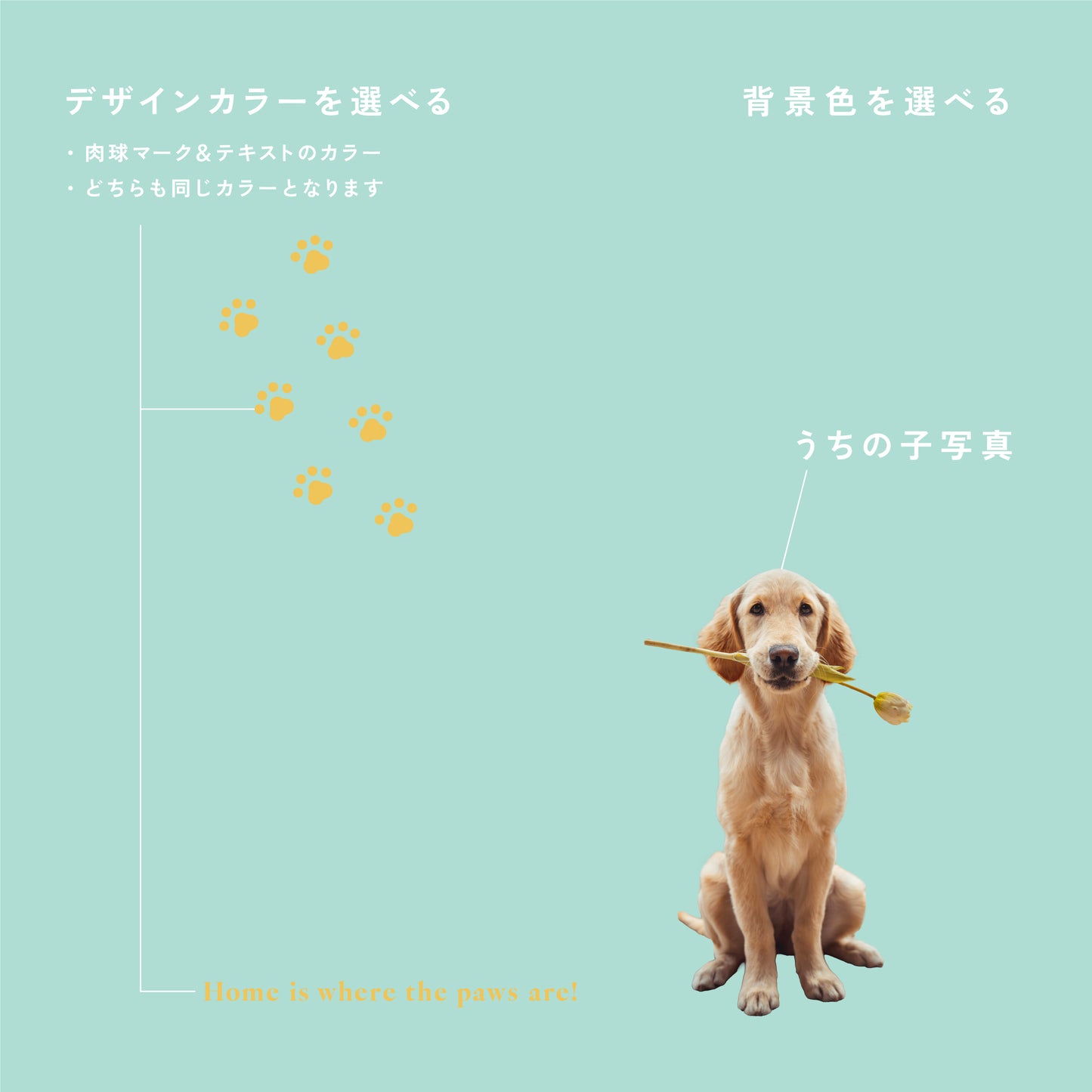 クッションカバー（ヌードクッション付）
