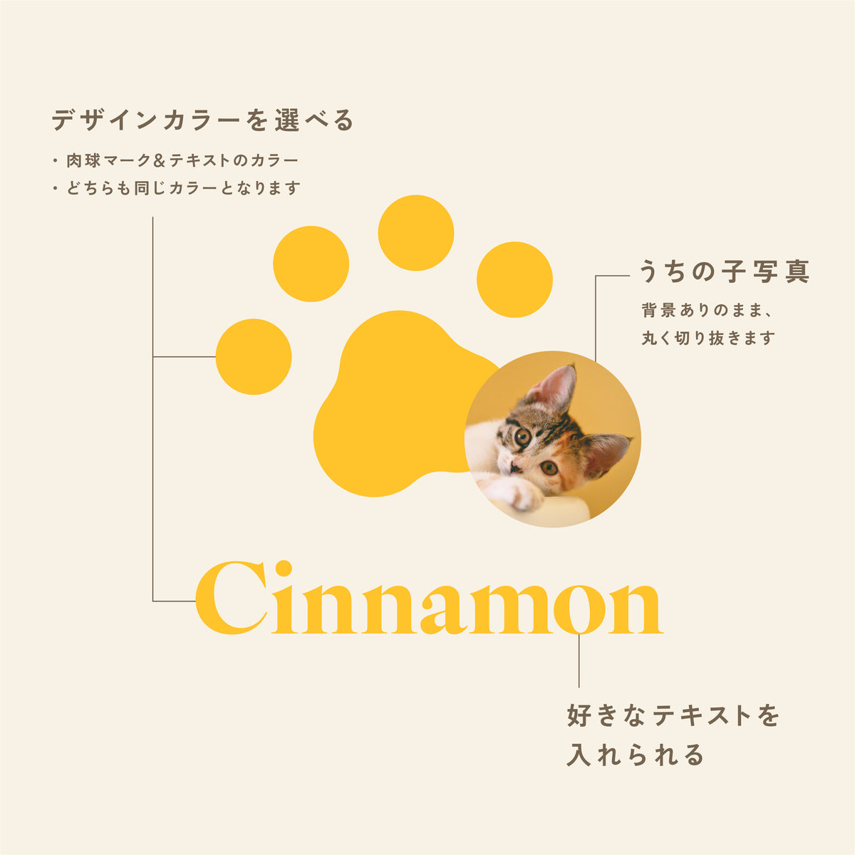 フラットポーチ