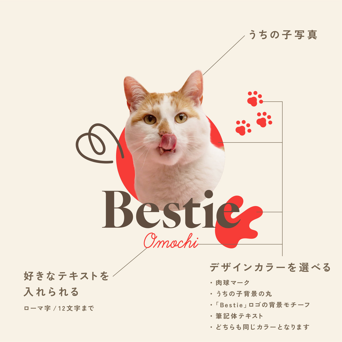 フラットポーチ