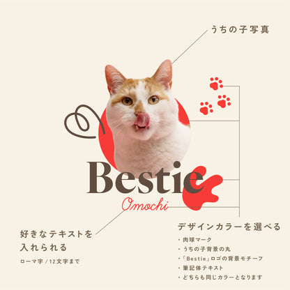 フラットポーチ