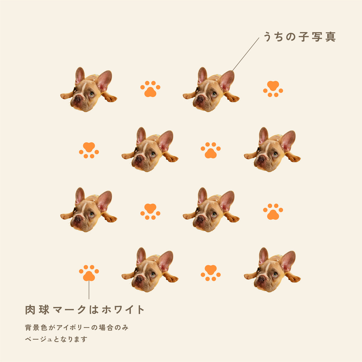 フラットポーチ