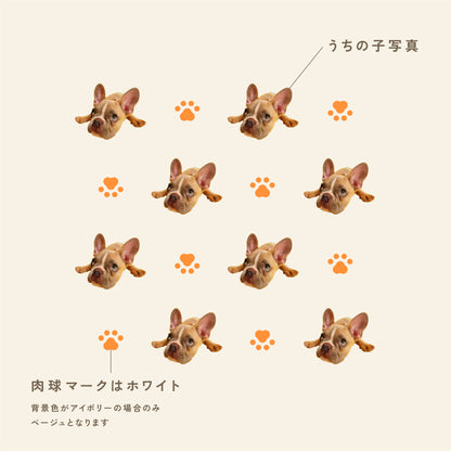 フラットポーチ