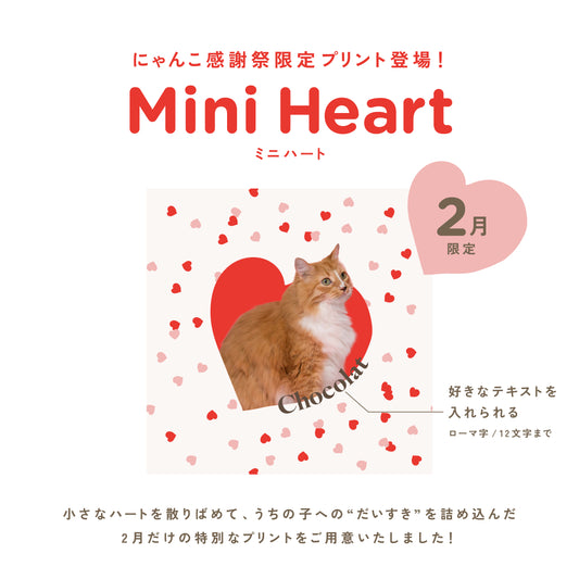 クッションチャーム（オーダーメイド）