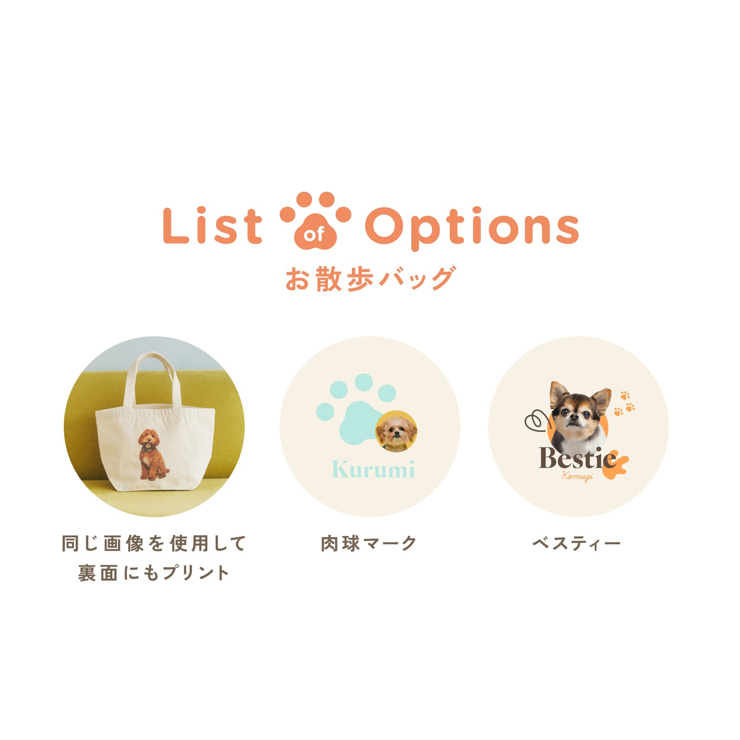 パパとのお散歩が楽しくなる応援セット