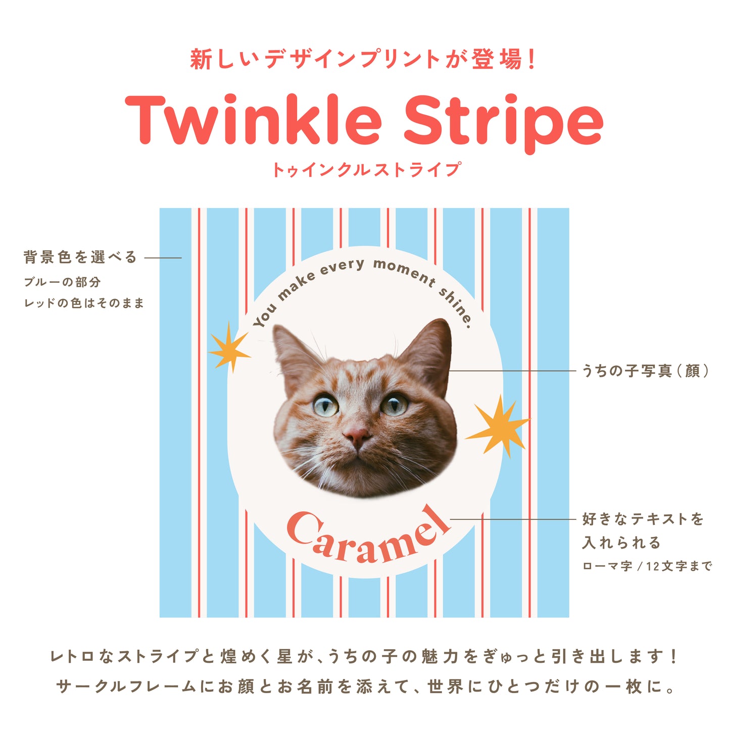 クッションチャーム（オーダーメイド）