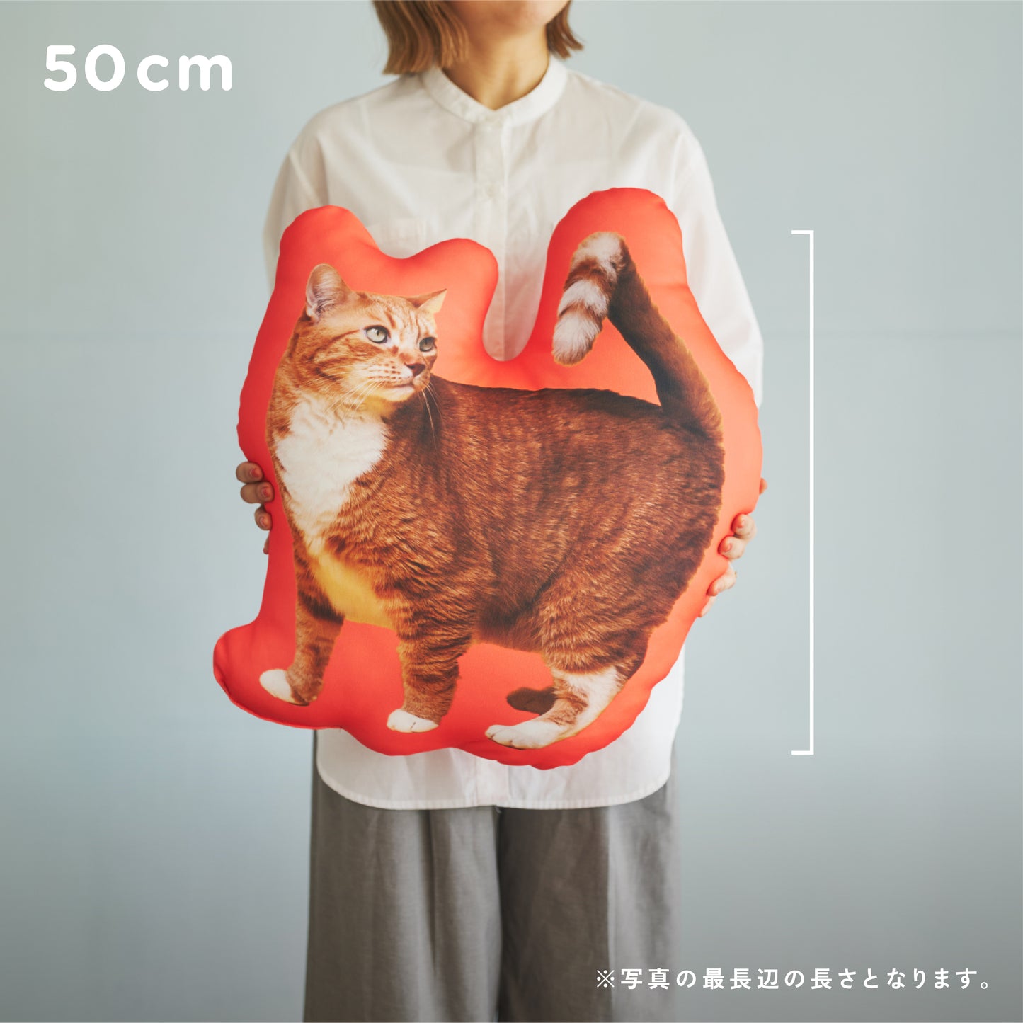 ふちどりシルエットクッション（オーダーメイド）