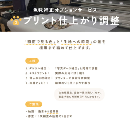 パパとのお散歩が楽しくなる応援セット