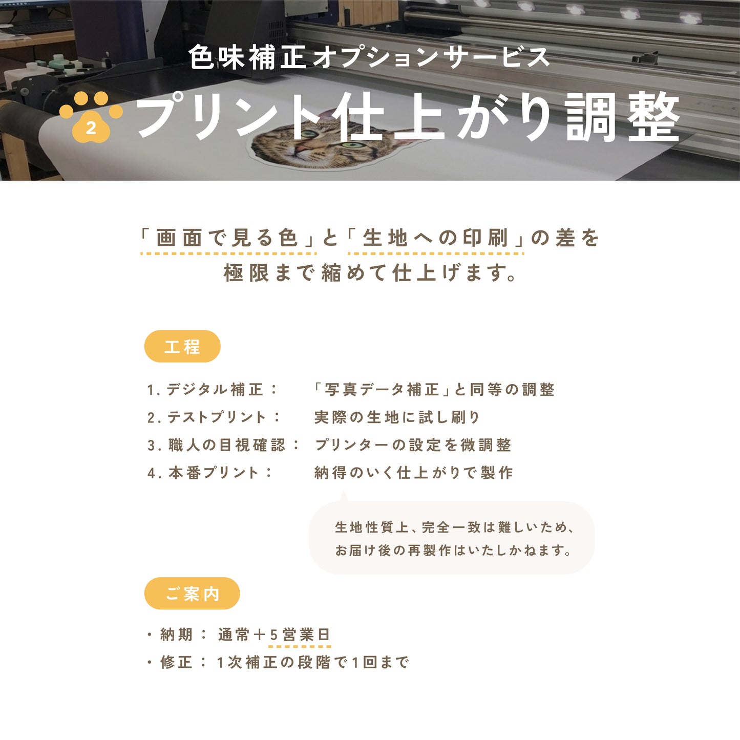 シルエットクッション（オーダーメイド）