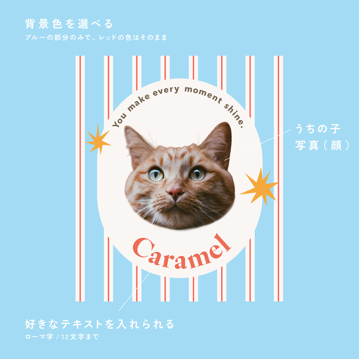 ふちどりシルエットクッション（オーダーメイド）