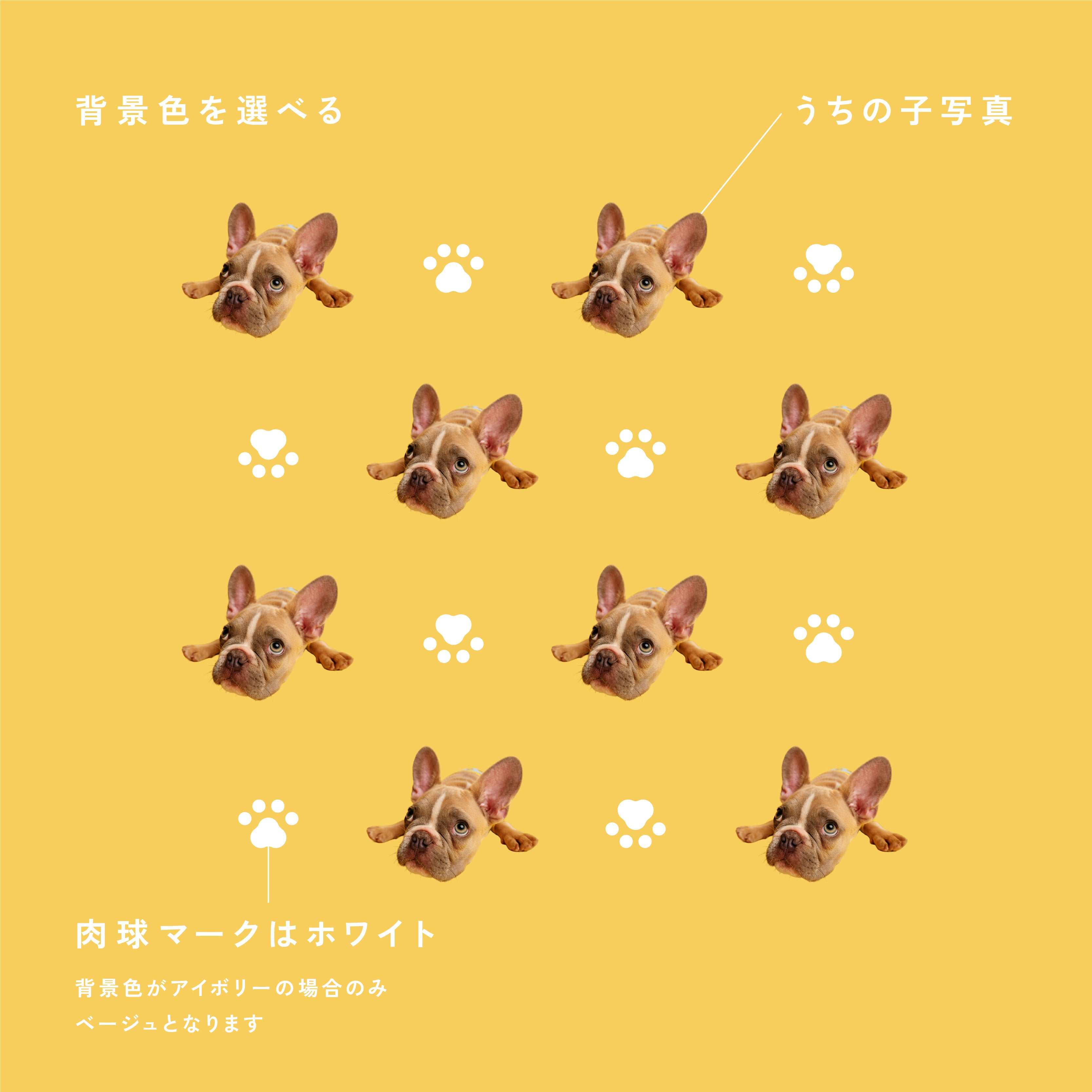 写真印刷】うちの子タオルハンカチ｜オリジナル・オーダーメイドグッズ