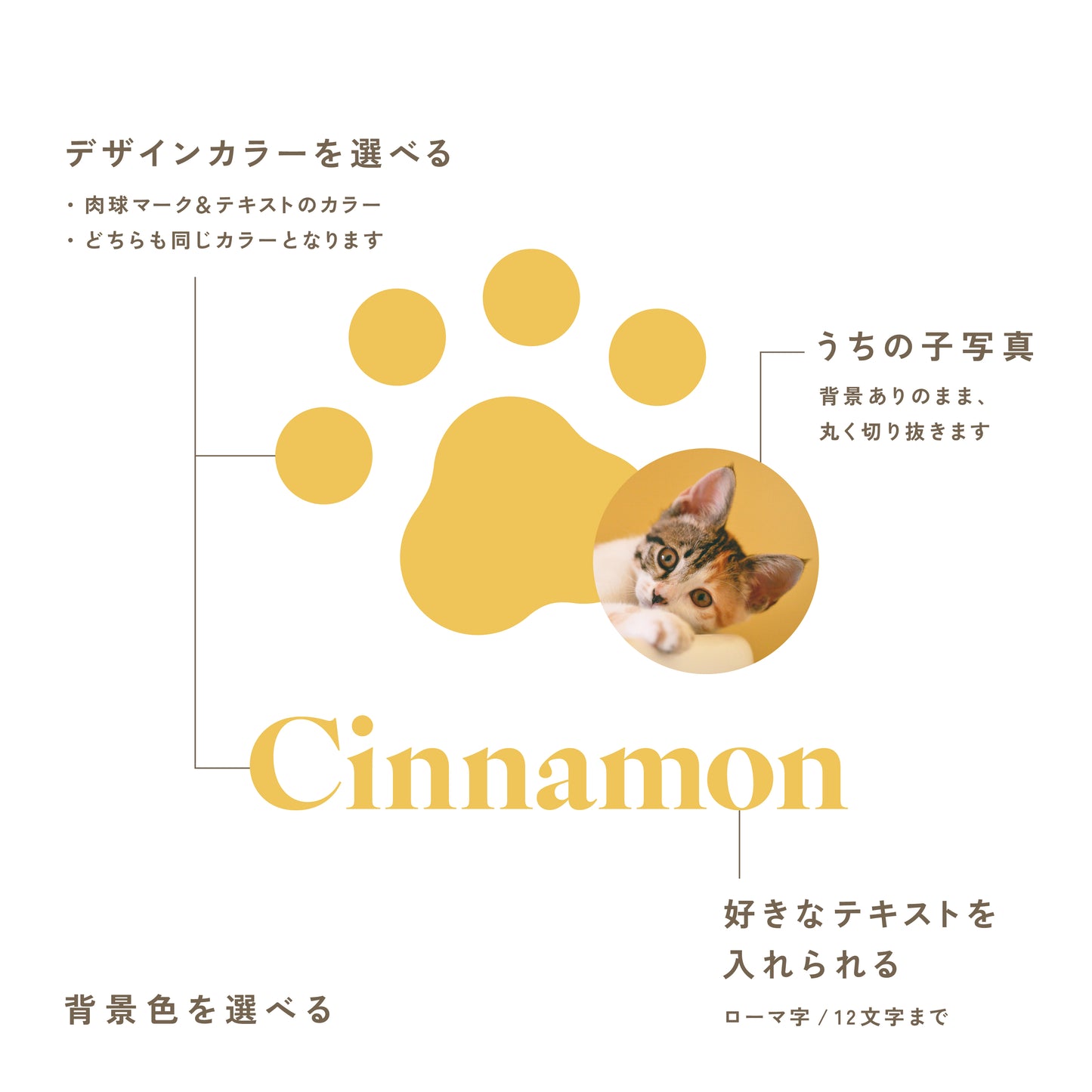 パパとのお散歩が楽しくなる応援セット