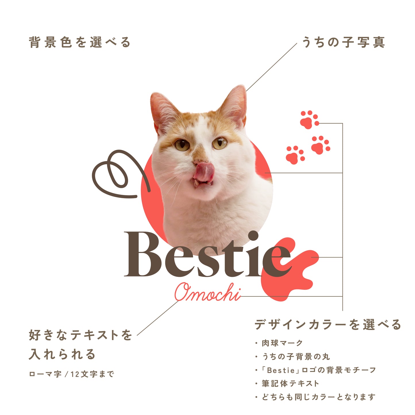 パパとのお散歩が楽しくなる応援セット