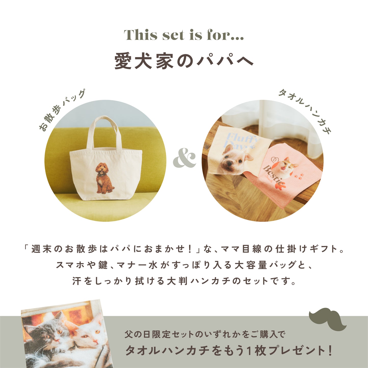 パパとのお散歩が楽しくなる応援セット
